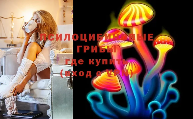 Галлюциногенные грибы Cubensis  darknet формула  Задонск 